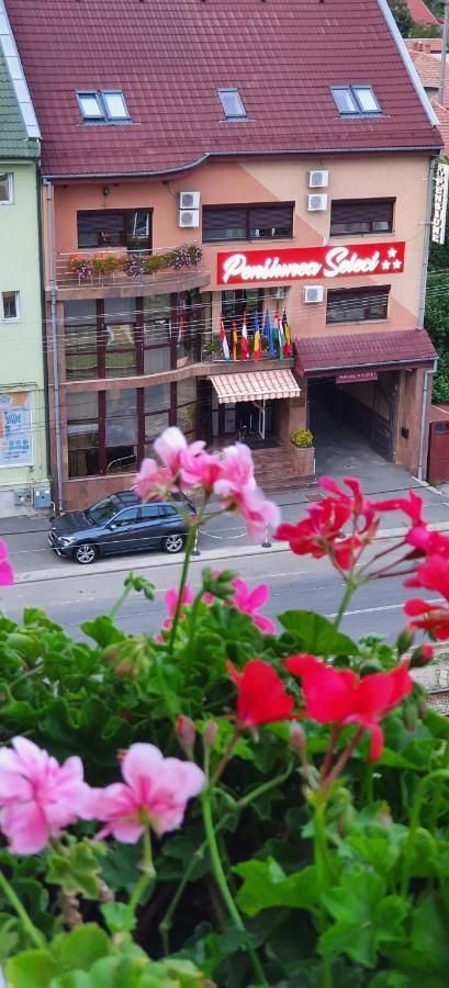 Pensiunea Select Arad Exterior foto