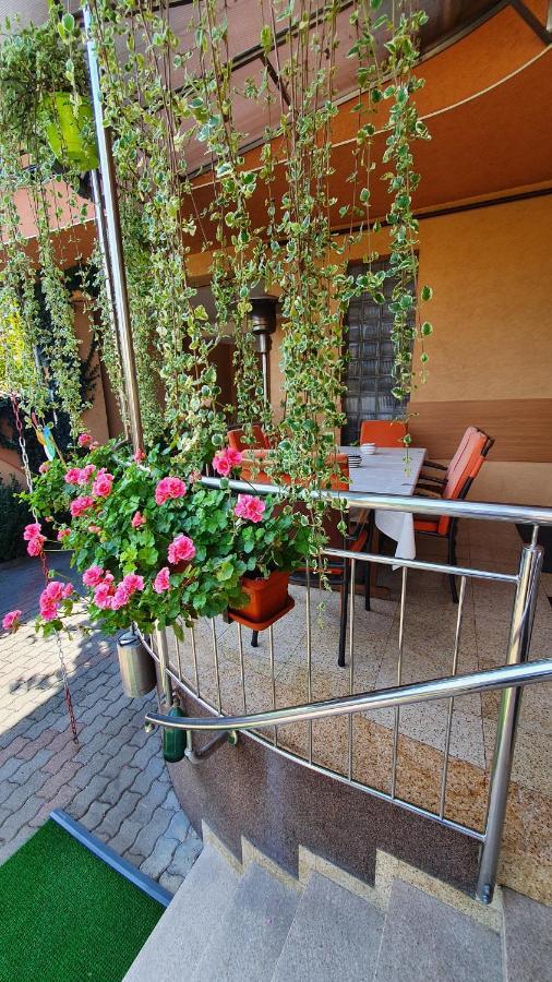 Pensiunea Select Arad Exterior foto