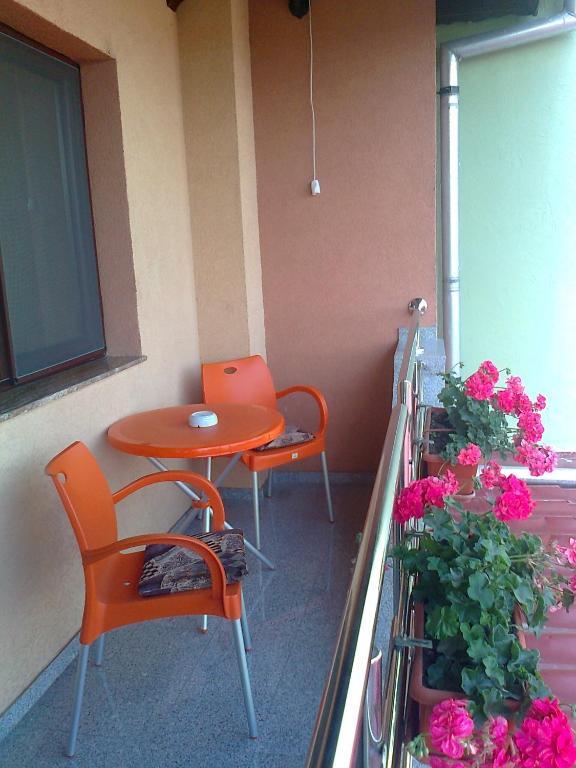 Pensiunea Select Arad Habitación foto